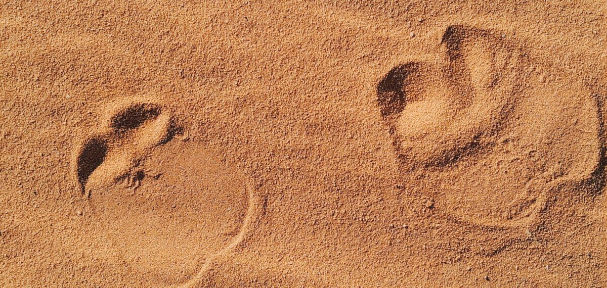 Airplane taking off into a colorful sunset sky, symbolizing the end of a journey