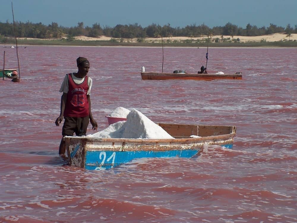 Arrival scene at Senegal’s Pink Lake with eco-lodge huts on a sand dune overlooking the water