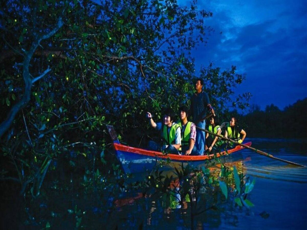 Boat cruising on a dark river in Kuala Selangor with mangrove trees lit by glowing fireflies