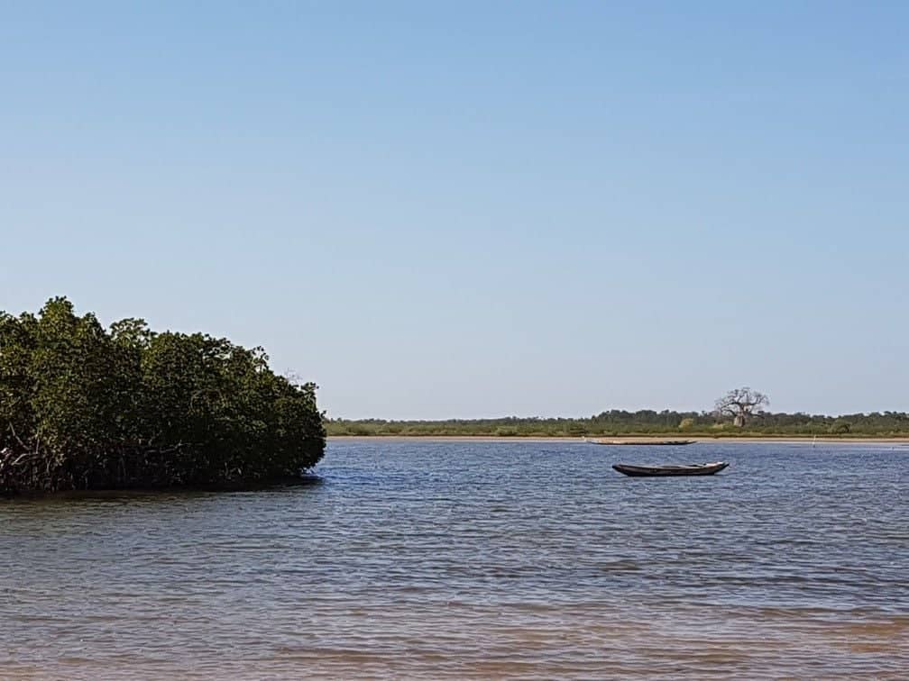 Boat cruising through calm channels of the Saloum Delta past mangroves and sandbanks