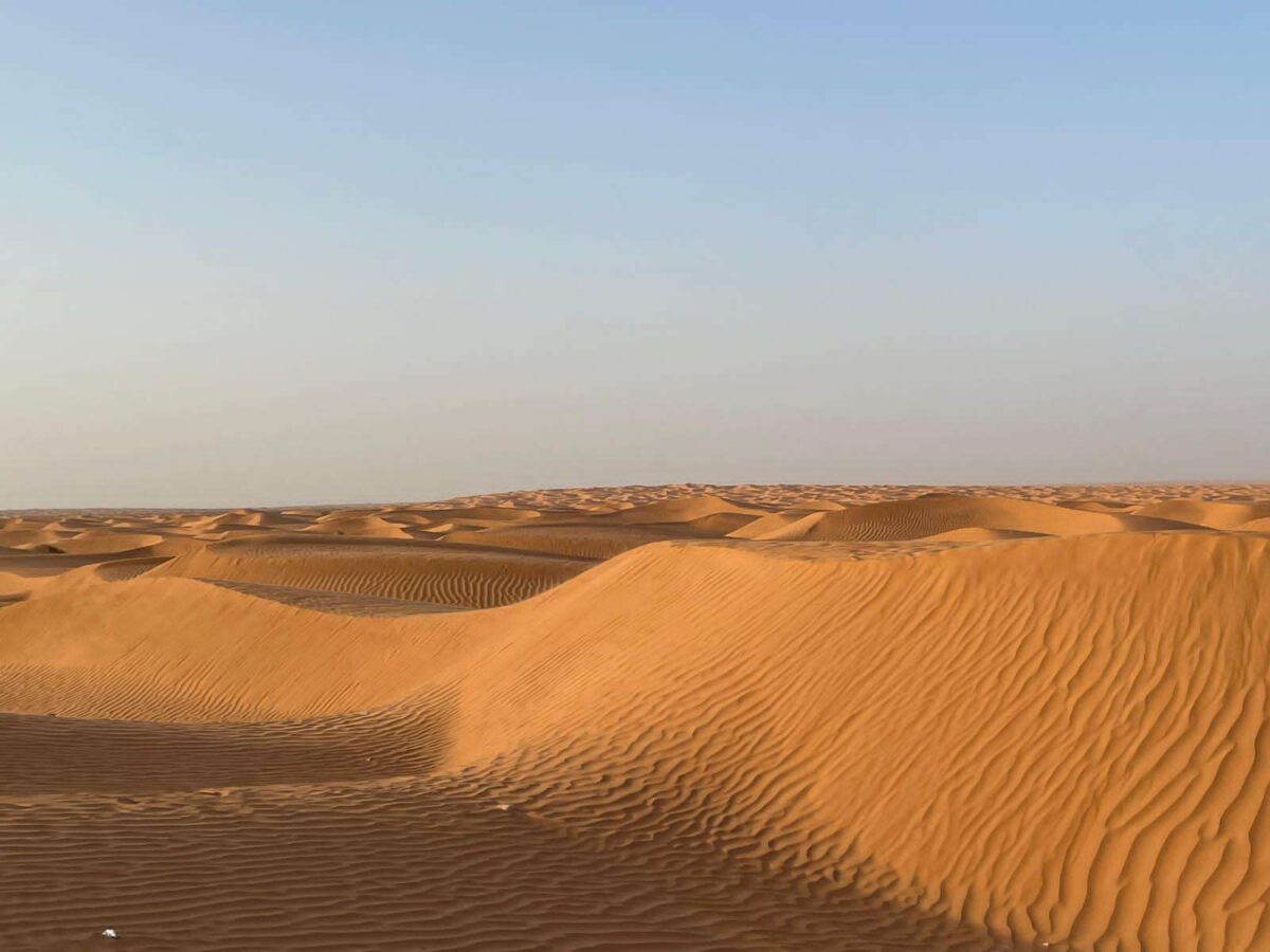 Camel caravan and quad bikes on golden sand dunes at sunset in the Sahara Desert near Ksar Ghilane, Tunisia