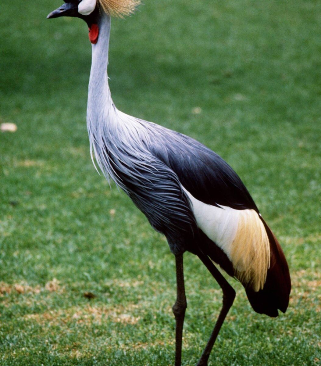 Charming farmhouse veranda at Sandai Farm overlooking green fields and bushland with sunset light