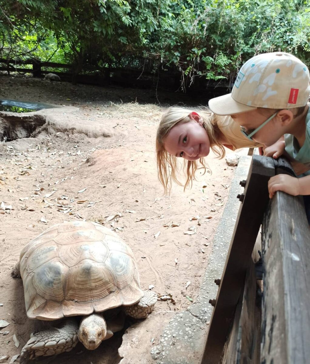 Children observing African land turtles in a protected village near Noflaye, Senegal