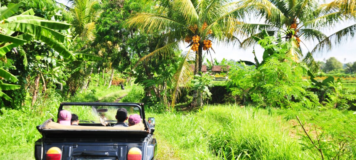 Classic VW convertible driving along a scenic road through green rice fields near Ubud
