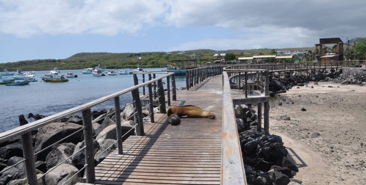 Coastal scene on San Cristobal Island with a sandy beach, rocks and the Pacific Ocean