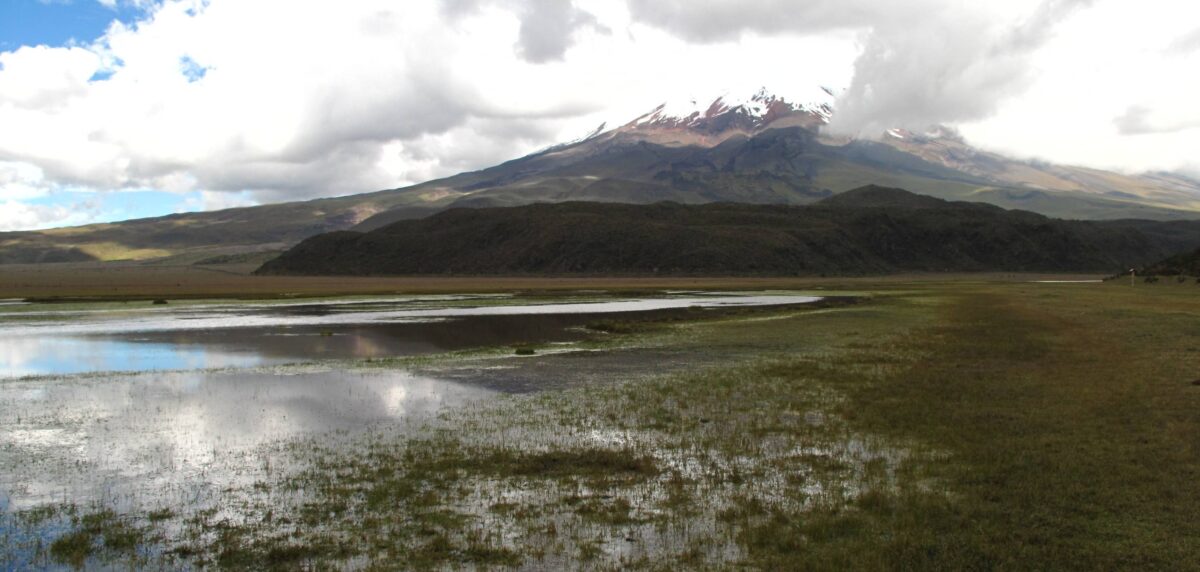Cotopaxi volcano towering above the Limpiopungo lagoon in Cotopaxi National Park