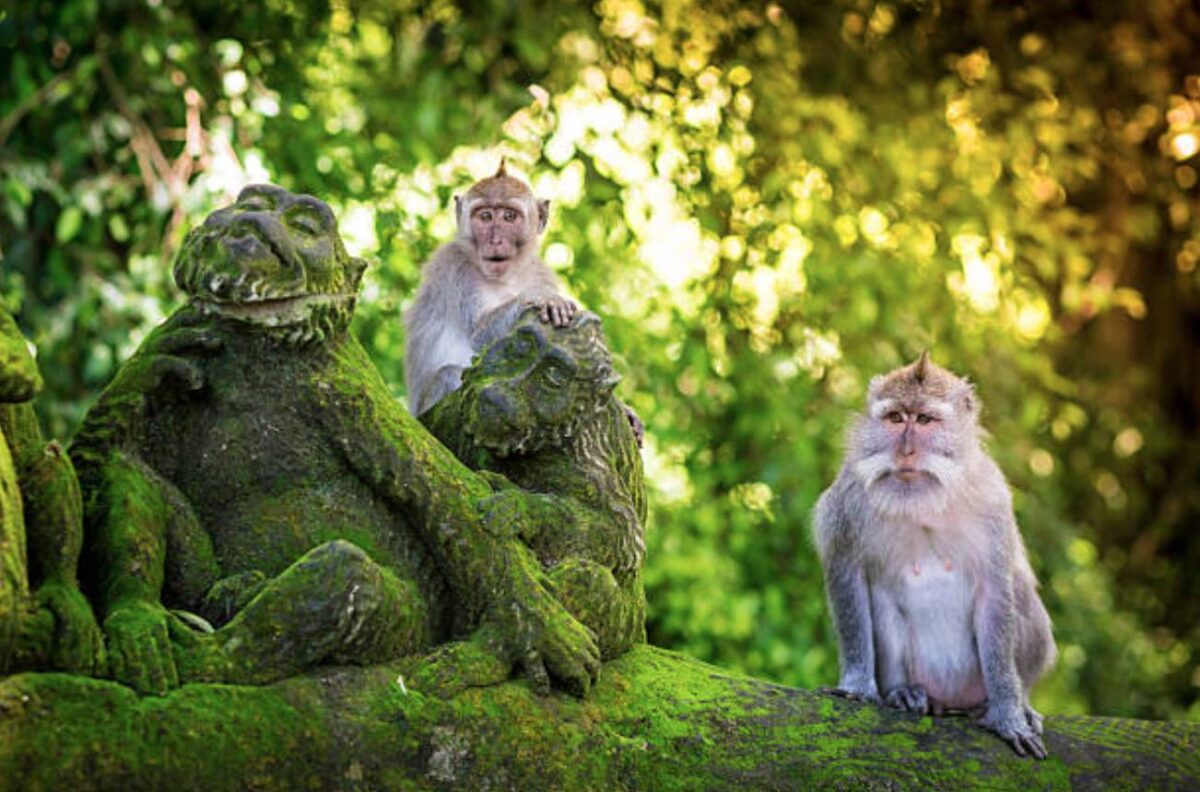 Couple strolling through Ubud’s artisan market surrounded by colorful handicrafts and textiles