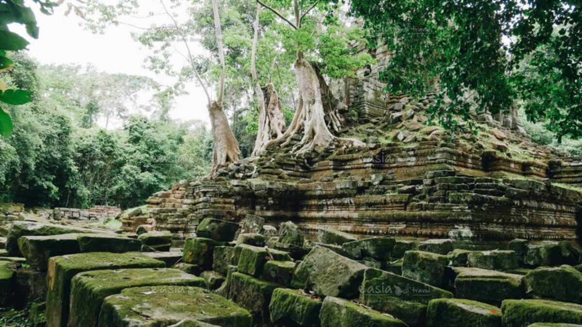 Cyclist passing rice fields and ancient brick towers of an Angkor-era temple at sunset