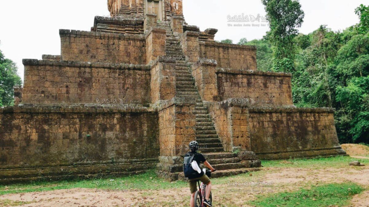 Cyclist riding beside green rice fields and water buffalo with distant trees near West Baray in Angkor