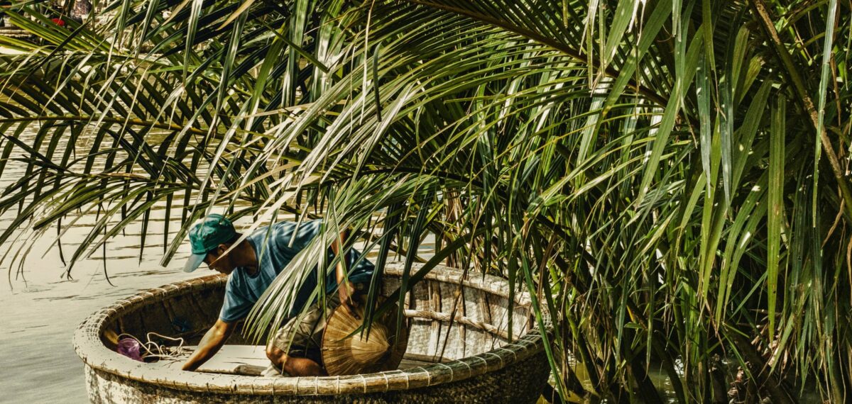 Cyclists passing through rice paddies and coconut groves on the way to Thanh Dong organic farm near Hoi An