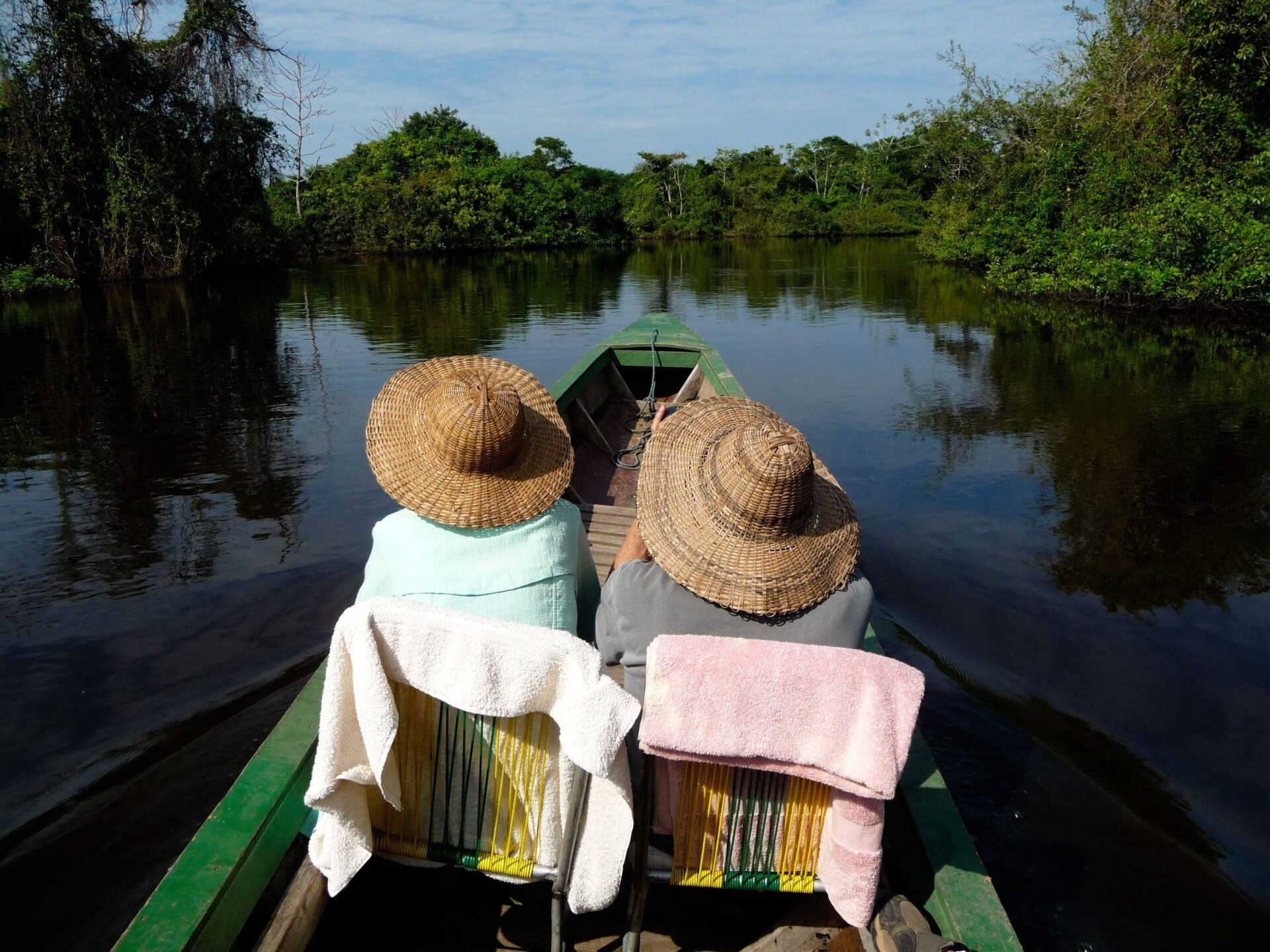 Dense green rainforest and river landscape in the Bolivian Amazon under a cloudy sky, representing national parks and jungle adventure
