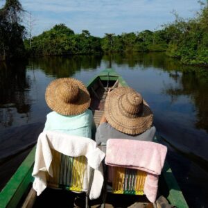 Dense green rainforest and river landscape in the Bolivian Amazon under a cloudy sky, representing national parks and jungle adventure