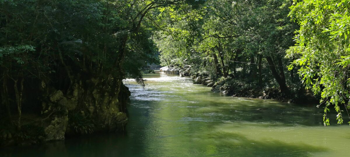 Emerald-green Río Claro winding through dense tropical forest and limestone cliffs