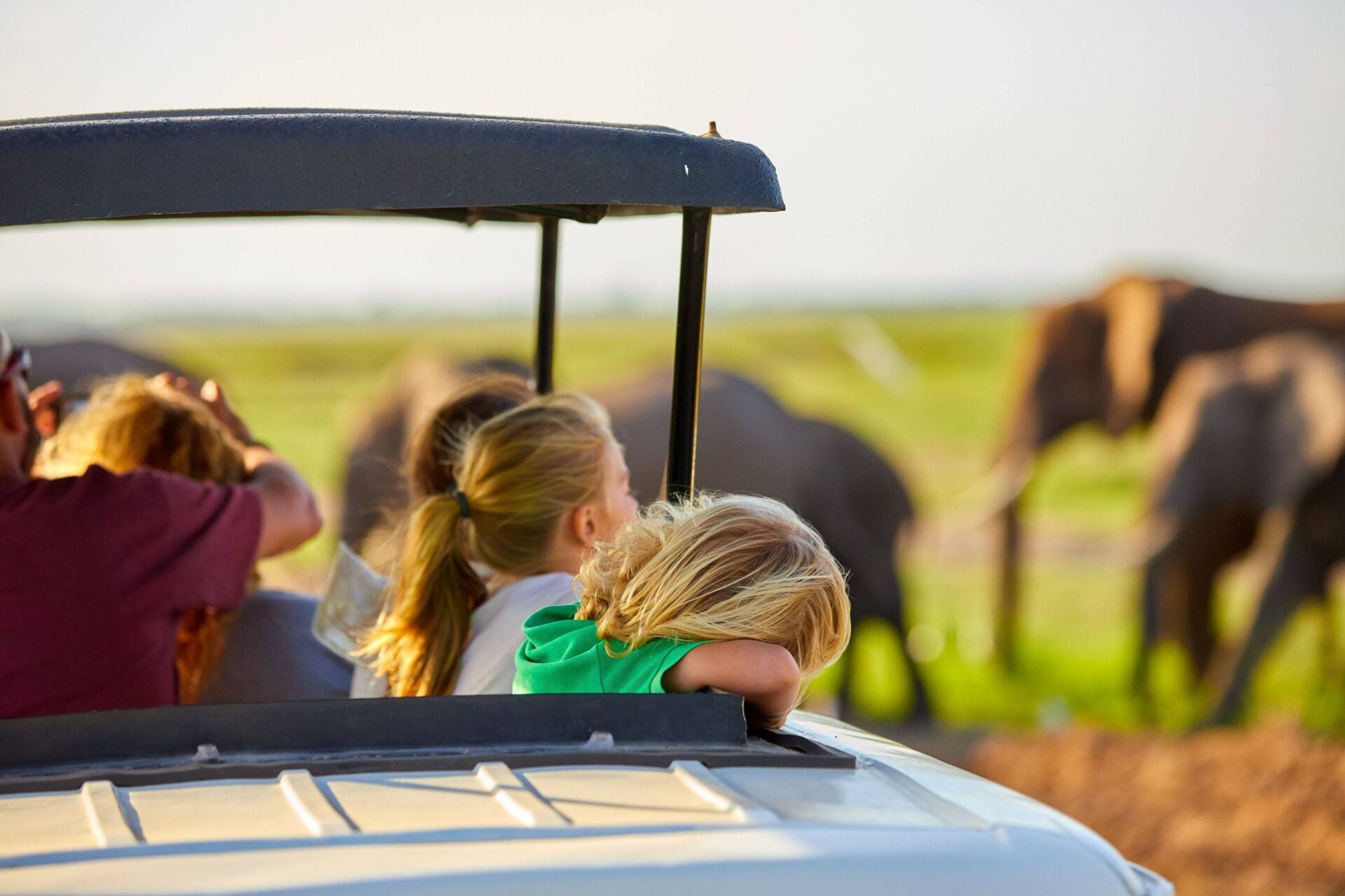 Family on safari watching giraffes in a Tanzanian national park with acacia trees and mountains in the background at sunset