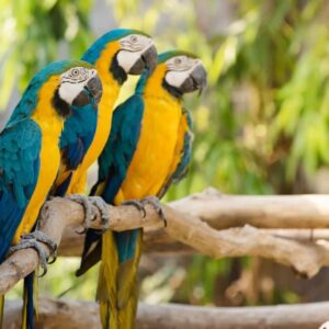 Family walking through a colorful colonial street in Colombia, surrounded by vibrant houses and mountain scenery in the background