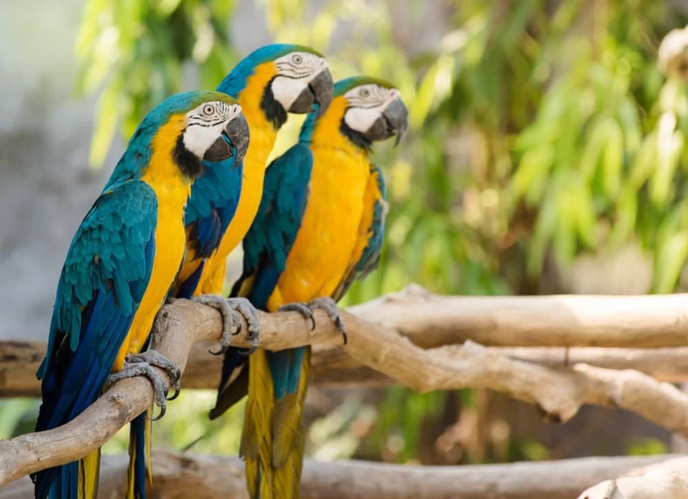 Family walking through a colorful colonial street in Colombia, surrounded by vibrant houses and mountain scenery in the background