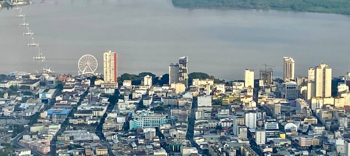 Guayaquil airport terminal with travellers departing and palm trees outside under a bright sky