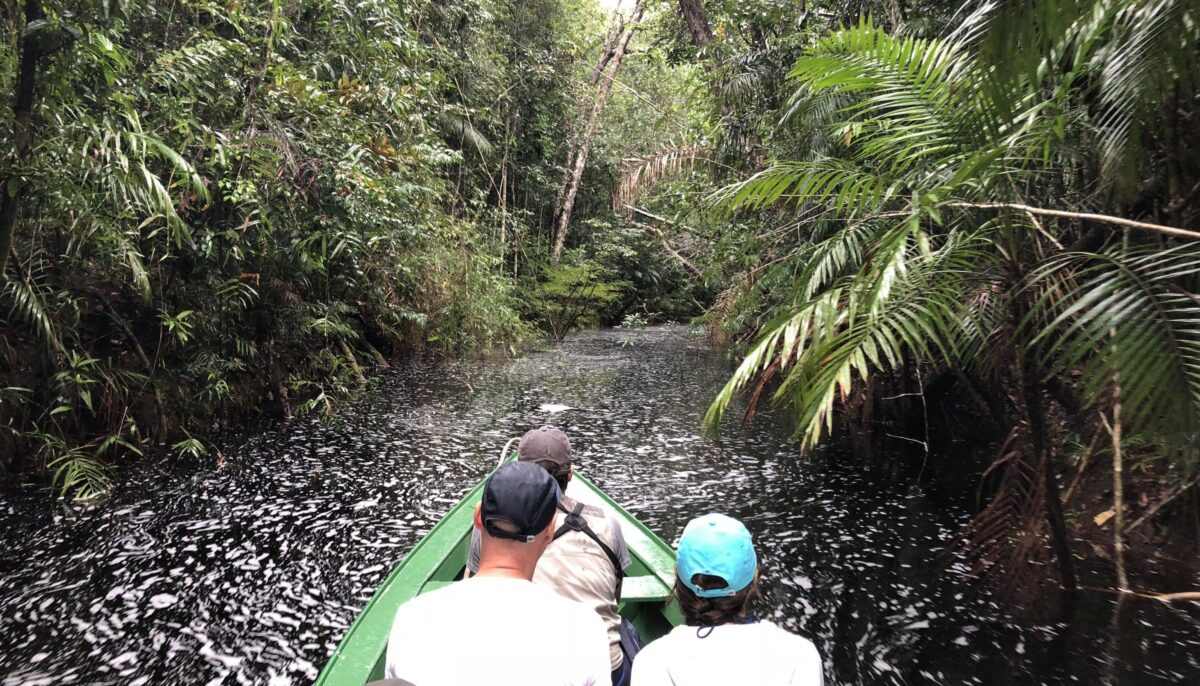 Guided canoe gliding silently through flooded Amazon forest between tree trunks and lush green vegetation