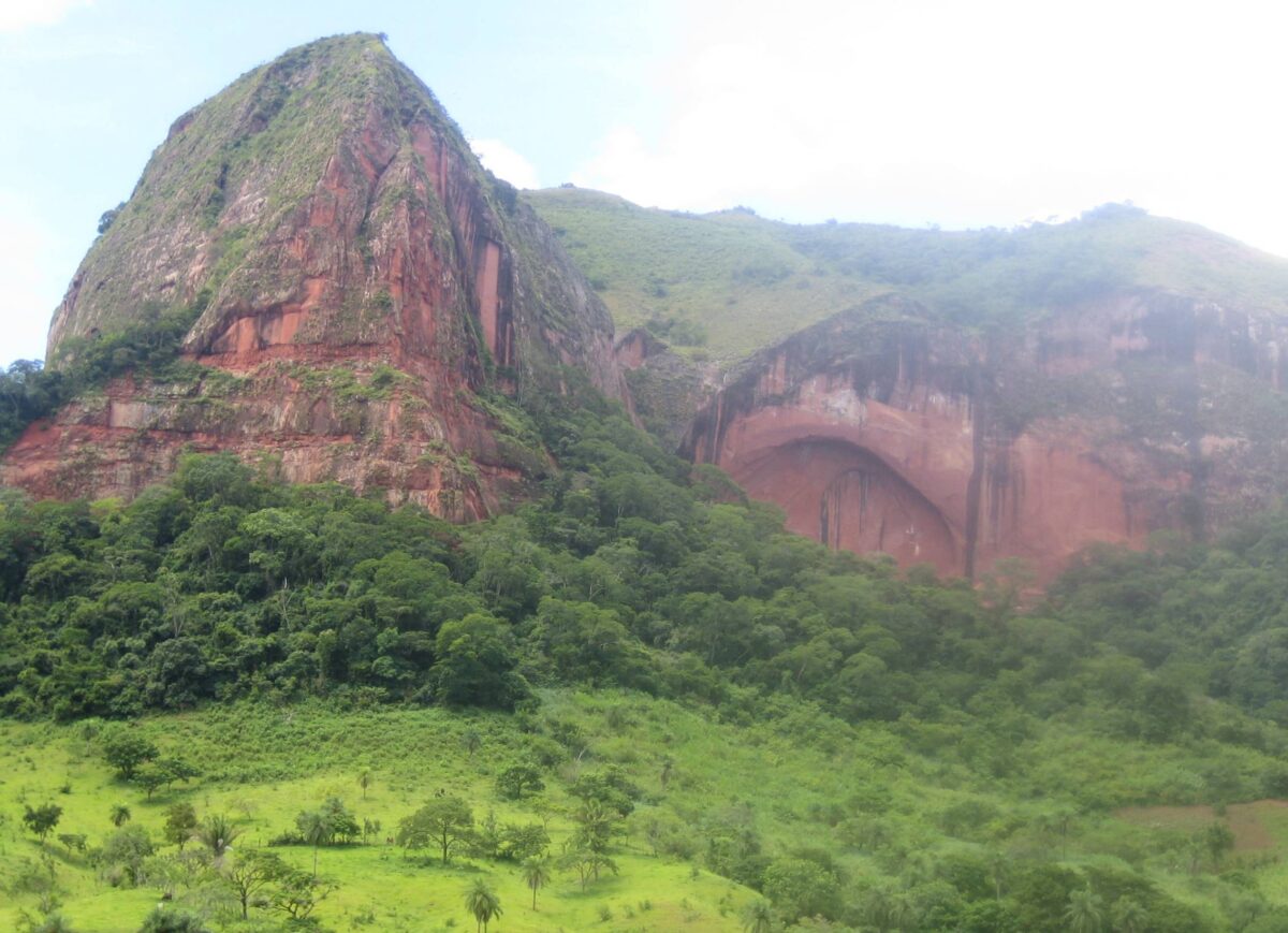 Hiker walking through lush green forest with giant tree ferns in Amboró National Park near Samaipata, Bolivia