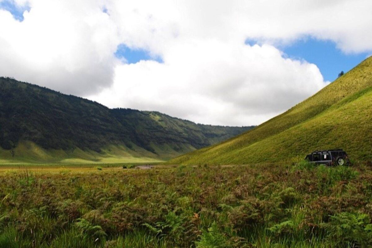 Indonesian train traveling through lush green countryside on Java