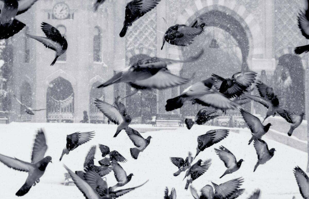 Interior of Istanbul’s Blue Mosque with visitors admiring the domes and blue Iznik tiles