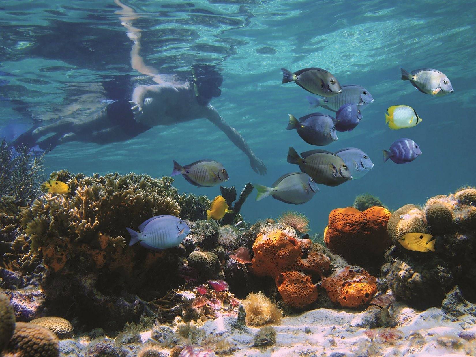 Jordanian family road trip with children exploring desert rock formations and ancient ruins at sunset