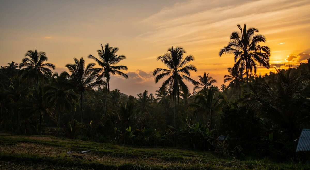 Lush green valley near Munduk with waterfall cascading through tropical forest