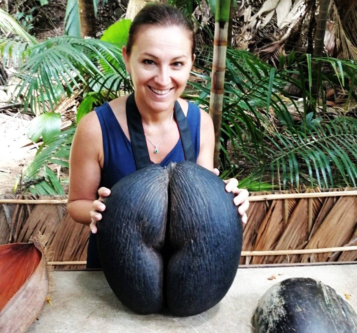 Lush palm forest of Vallée de Mai on Praslin with towering coco de mer palms