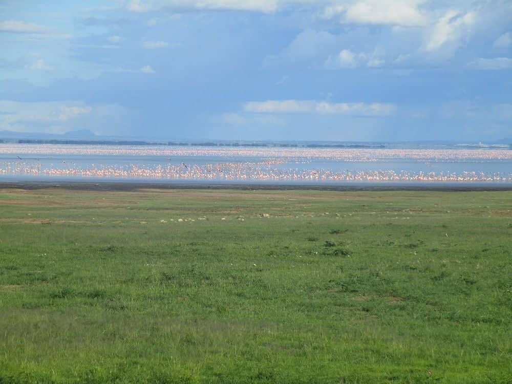 Luxury tented camp with canvas tents overlooking savannah and Lake Manyara near Tarangire National Park