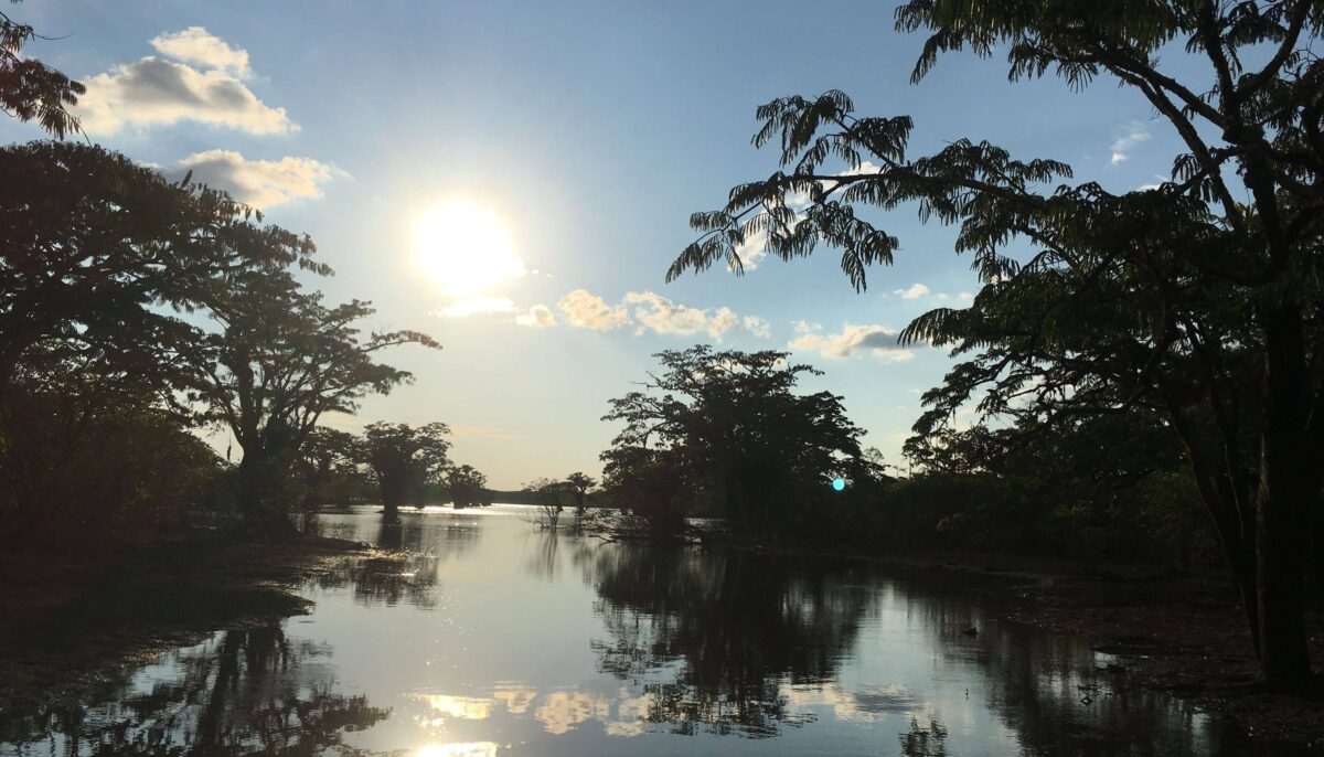 Motor canoe with travellers crossing a calm lake surrounded by dense Amazon rainforest in the Cuyabeno Reserve at sunset