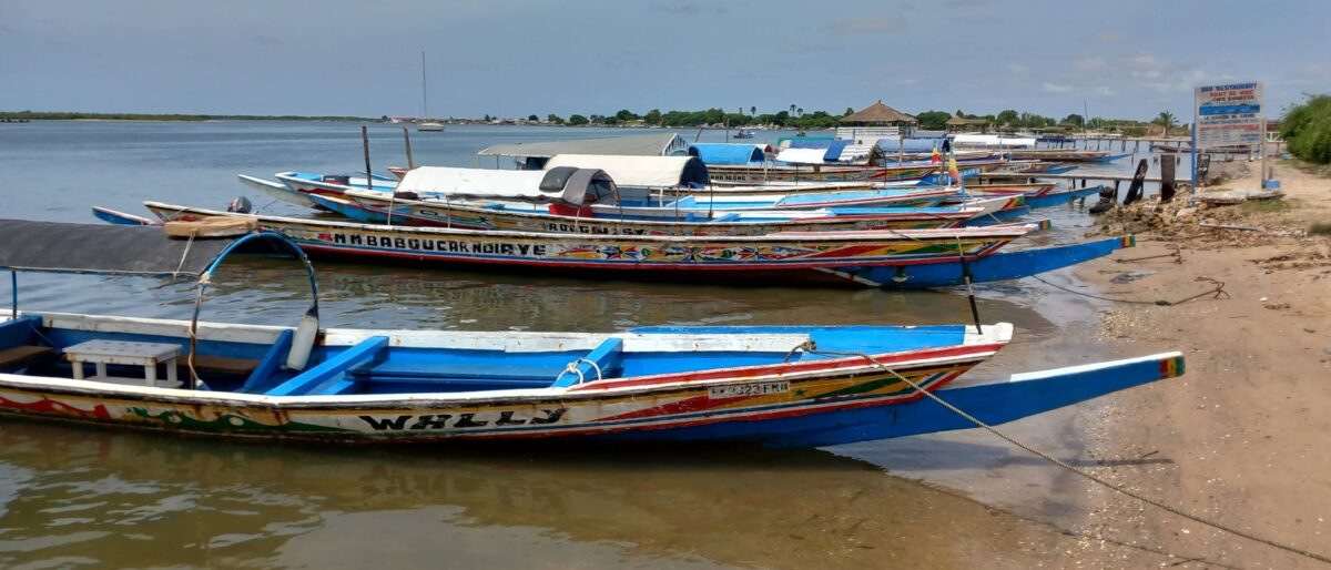 Motorised pirogue gliding through the mangrove in the Sine Saloum Delta with birds flying over calm waterways