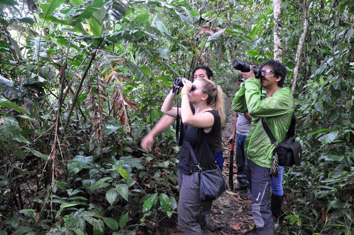 Mountain road descending from Quito towards the green Amazon foothills under a cloudy sky