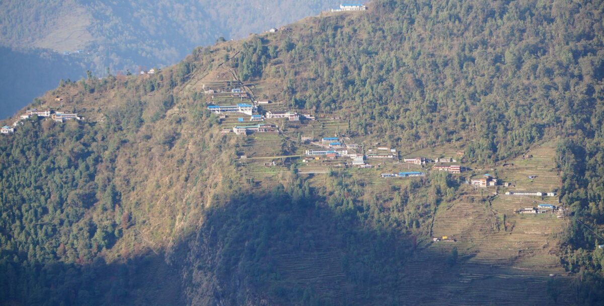 Narrow forest trail lined with dense green vegetation and mossy rocks near Dovan in the Annapurna Sanctuary