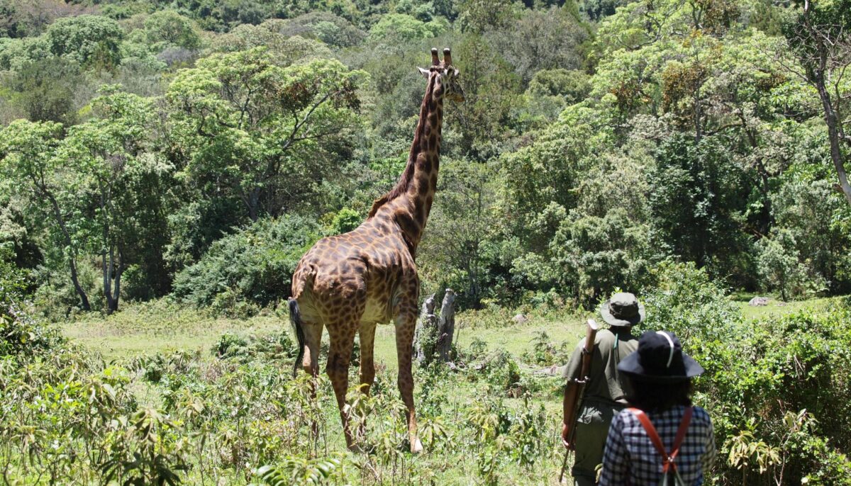 Night view of Nairobi skyline with illuminated buildings and traffic lights welcoming visitors to Kenya