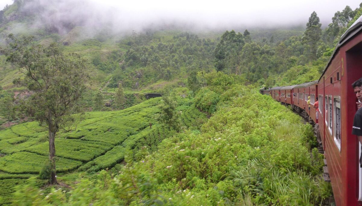 Old-fashioned train winding through lush green tea plantations and misty hills in Sri Lanka
