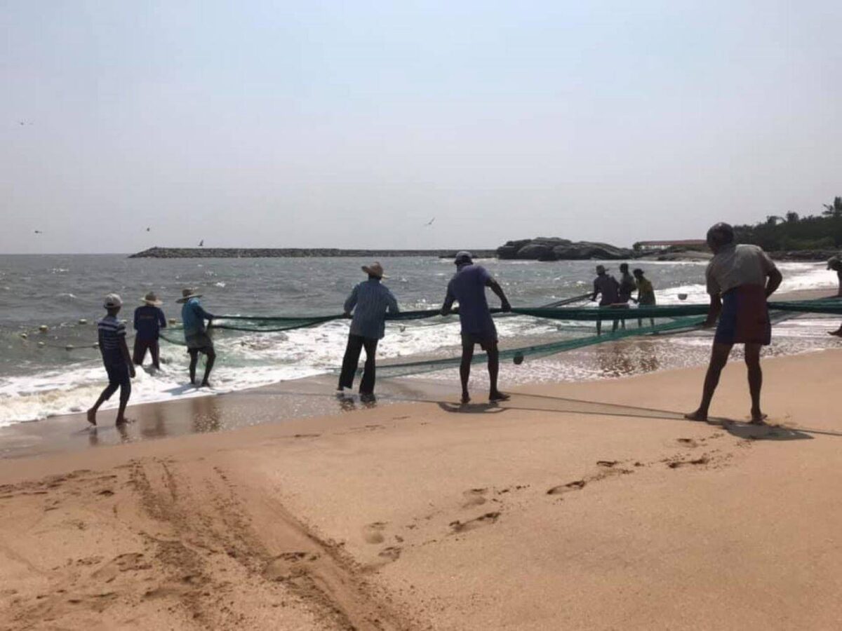 Palm-fringed sandy beach at Bentota, Sri Lanka, with turquoise sea and sun loungers facing the ocean