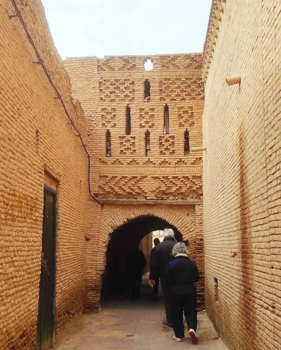 Palm grove and traditional brick houses in the oasis town of Tozeur, Tunisia