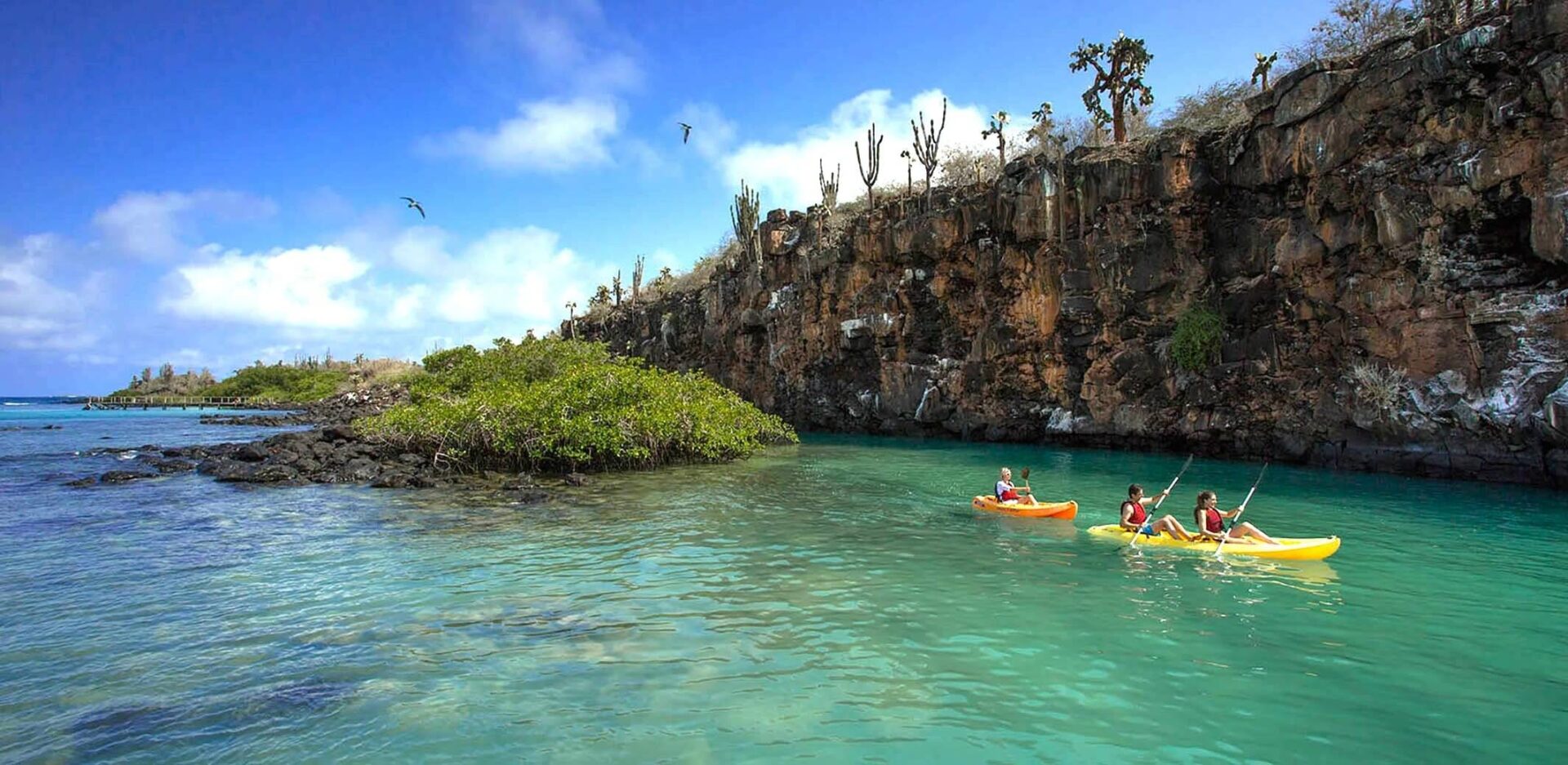Panoramic view of a Galapagos island coastline with turquoise water, volcanic rocks and sea lions resting on the shore under a clear blue sky