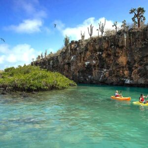 Panoramic view of a Galapagos island coastline with turquoise water, volcanic rocks and sea lions resting on the shore under a clear blue sky