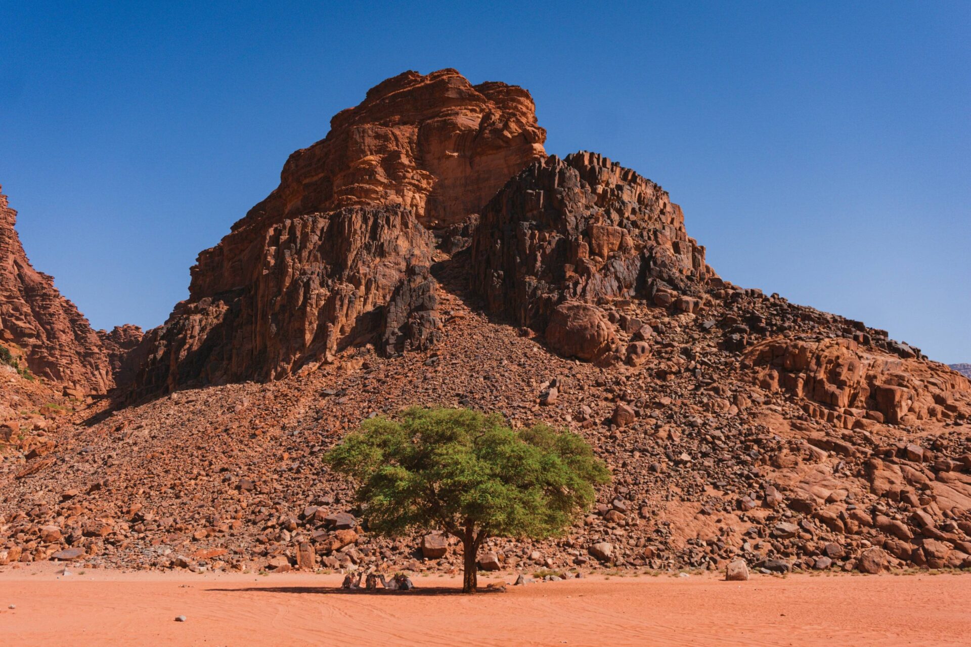 Panoramic view of Jordan’s desert mountains under a clear sky, symbolising the start of a sustainable journey through the country