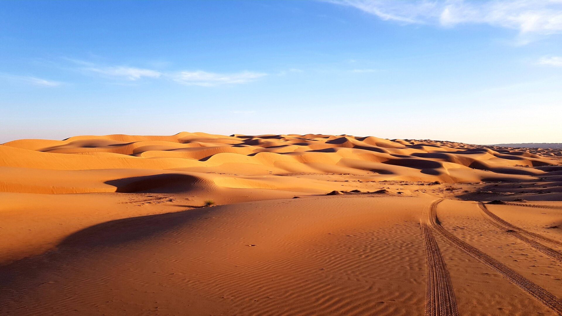 Panoramic view of Oman’s rugged mountains and desert landscape under a clear blue sky, showcasing winding roads and rocky peaks