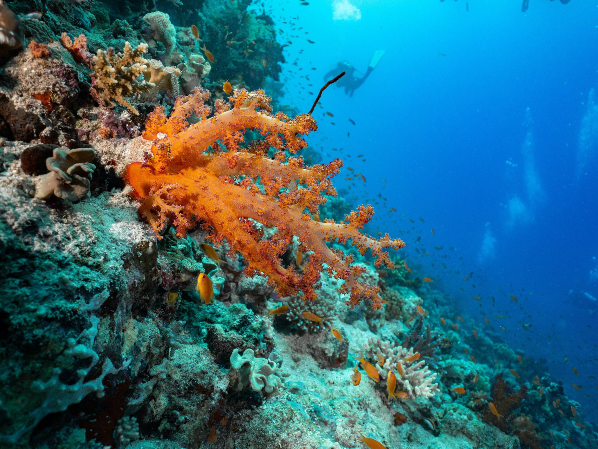 Panoramic view of the Pyramids of Giza and the Sphinx under a clear blue sky in Egypt