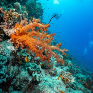 Panoramic view of the Pyramids of Giza and the Sphinx under a clear blue sky in Egypt
