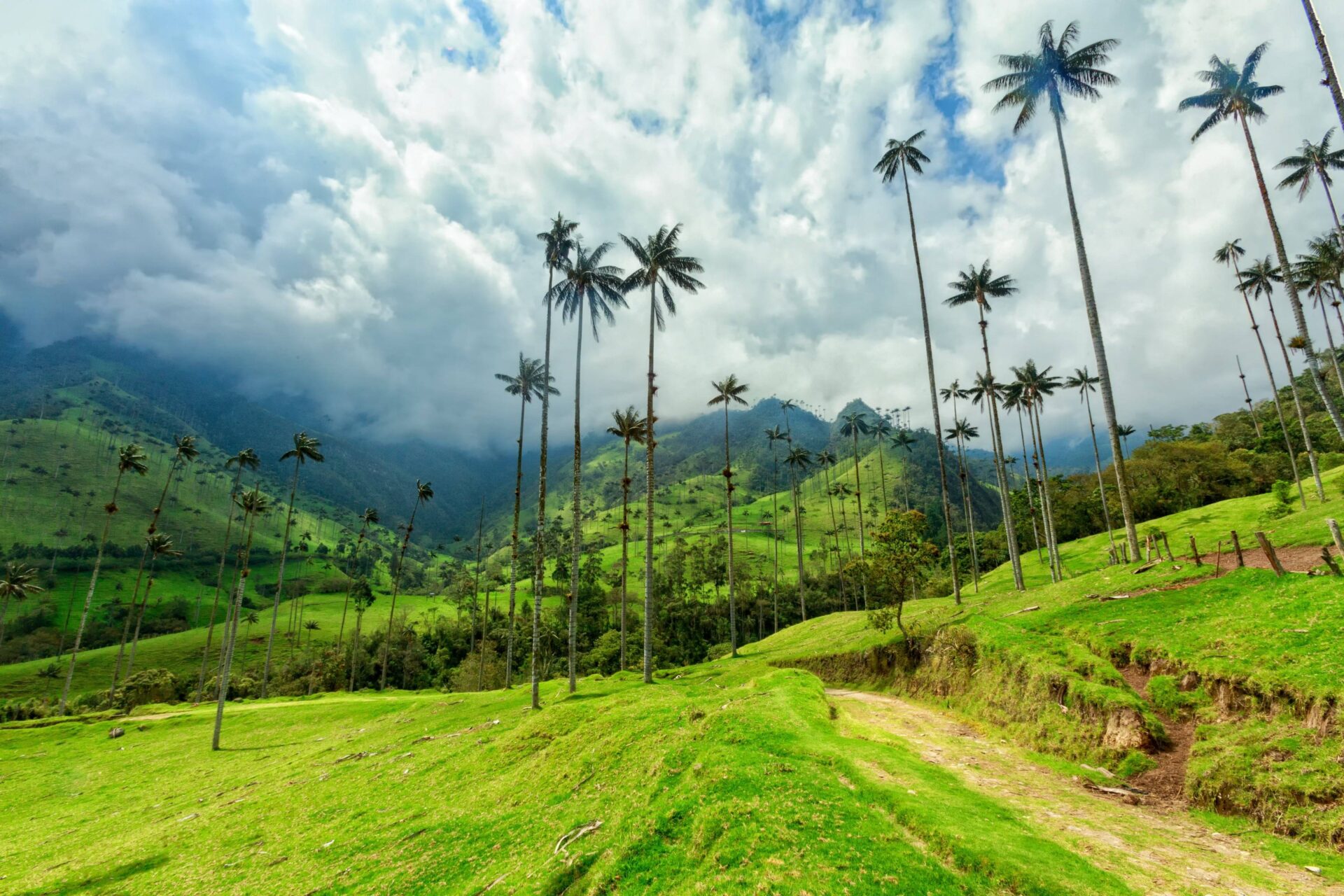 Panoramic view over Colombia’s green Andean mountains under a bright sky, showcasing winding roads, forests and small settlements