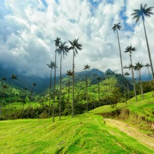 Panoramic view over Colombia’s green Andean mountains under a bright sky, showcasing winding roads, forests and small settlements