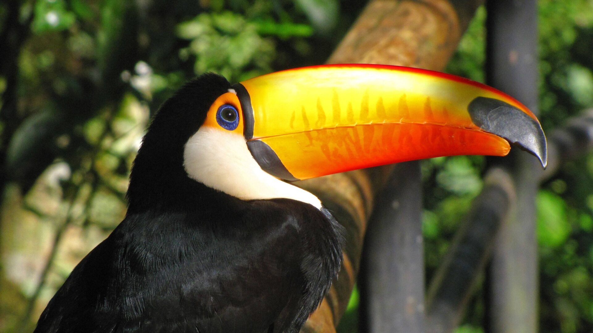 Panoramic view over Rio de Janeiro with Christ the Redeemer statue, Sugarloaf Mountain and beaches under a clear blue sky