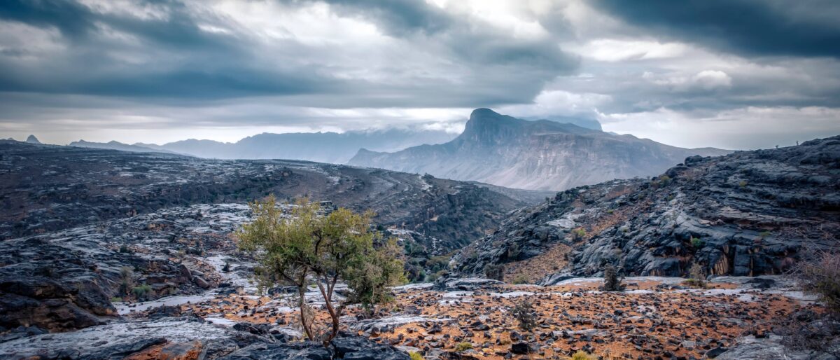 Panoramic view over the deep canyon of Jebel Shams with rugged cliffs and high plateau in Oman