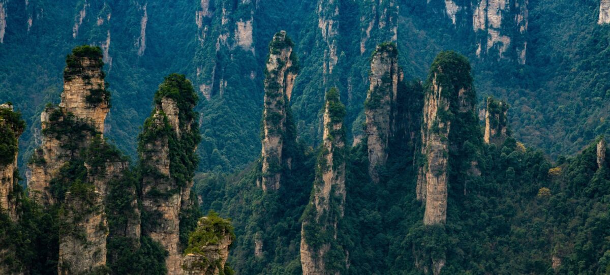 Parents and children walking along a forested path beside the Golden Whip Stream in Zhangjiajie, with tall cliffs rising above