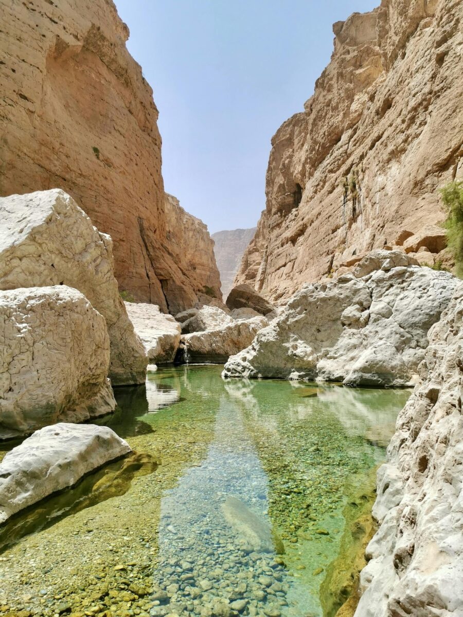 pexels-franck-lemozy-704616779-27945096