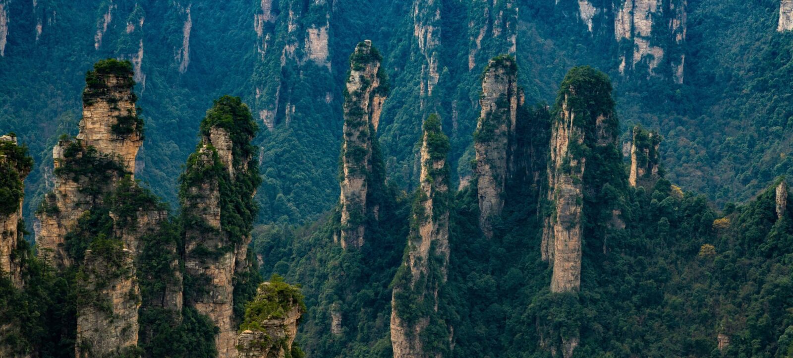 Parents and children walking along a forested path beside the Golden Whip Stream in Zhangjiajie, with tall cliffs rising above